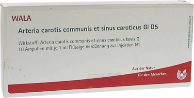 ARTERIA CAROTIS COMMUNIS et sin.carot.GL D 5 Amp. - 10X1ml