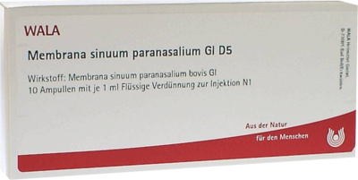 MEMBRANA sinuum paransalium GL D 5 Ampullen - 10X1ml