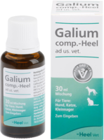 GALIUM COMP.-Heel ad us.vet.Tropfen - 30ml