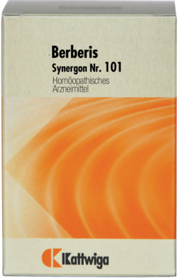 SYNERGON KOMPLEX 101 Berberis Tabletten - 200St