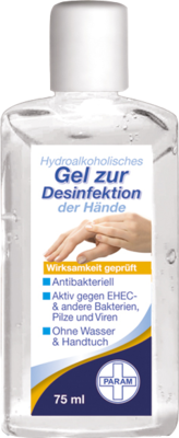 DESINFEKTIONSGEL für die Hand antibakteriell - 75ml