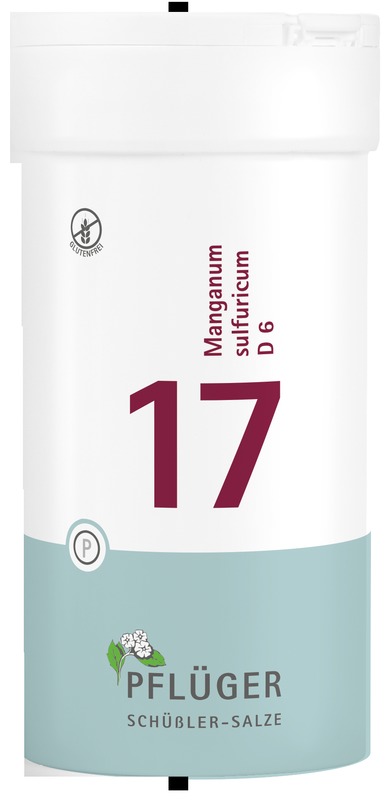 BIOCHEMIE Pflüger 17 Manganum sulfuricum D 6 Tabl.