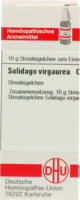 SOLIDAGO VIRGAUREA C 30 Globuli - 10g