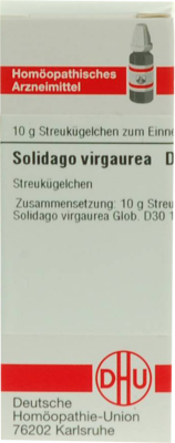 SOLIDAGO VIRGAUREA D 30 Globuli - 10g