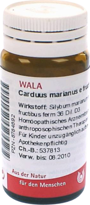 CARDUUS MARIANUS E fructibus D 3 Globuli - 20g
