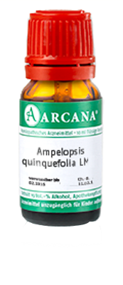 AMPELOPSIS quinquefolia LM 7 Dilution - 10ml