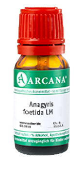 ANAGYRIS foetida LM 11 Dilution - 10ml