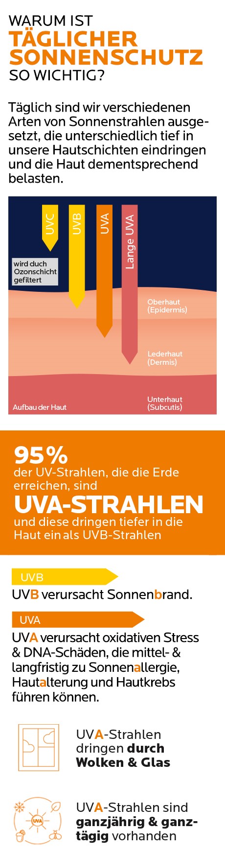 pds_17636676_bild4.jpg