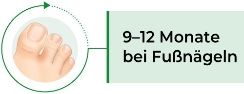 Grafik zeigt die Behandlungsdauer mit Ciclopoli® bei Finger- und Fußnägeln.