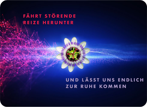 pds_lioran_centra_bild2.png