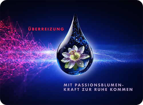 Fährt stärende Reitze herunter und lässt uns endlich zur Ruhe kommen.