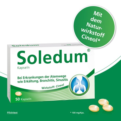 SOLEDUM 100 mg magensaftresistente Kapseln