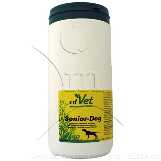 SENIOR Dog