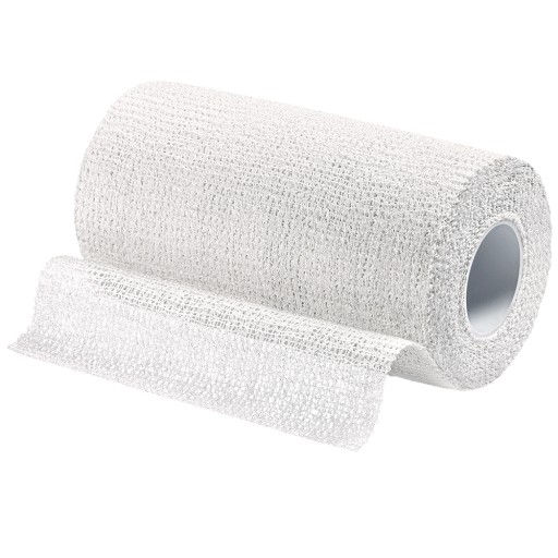 VAROLAST Plus Zinkleimbinde 10 cmx10 m