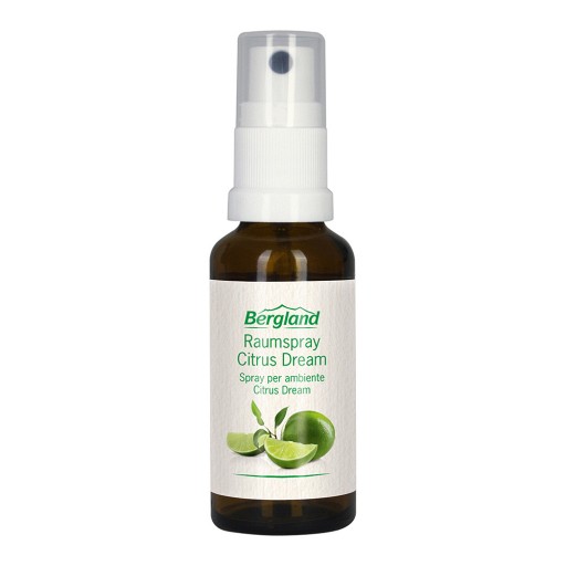 RAUMSPRAY Citrus Dream - 30ml