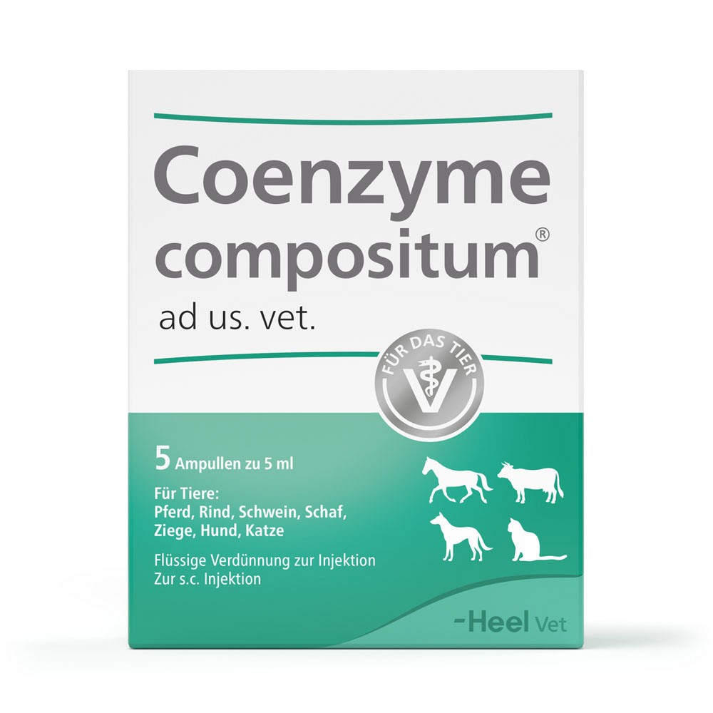 COENZYME COMPOSITUM ad us.vet.Ampullen