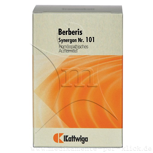 SYNERGON KOMPLEX 101 Berberis Tabletten