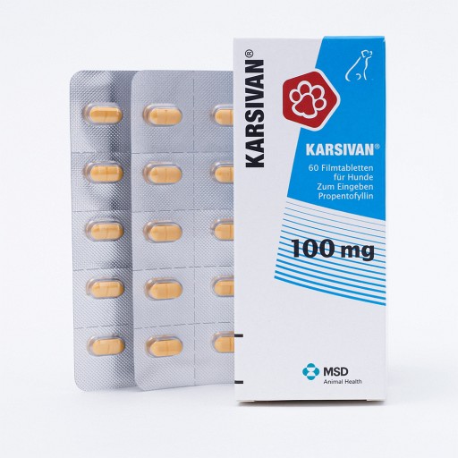 KARSIVAN 100 Filmtabletten f.Hunde