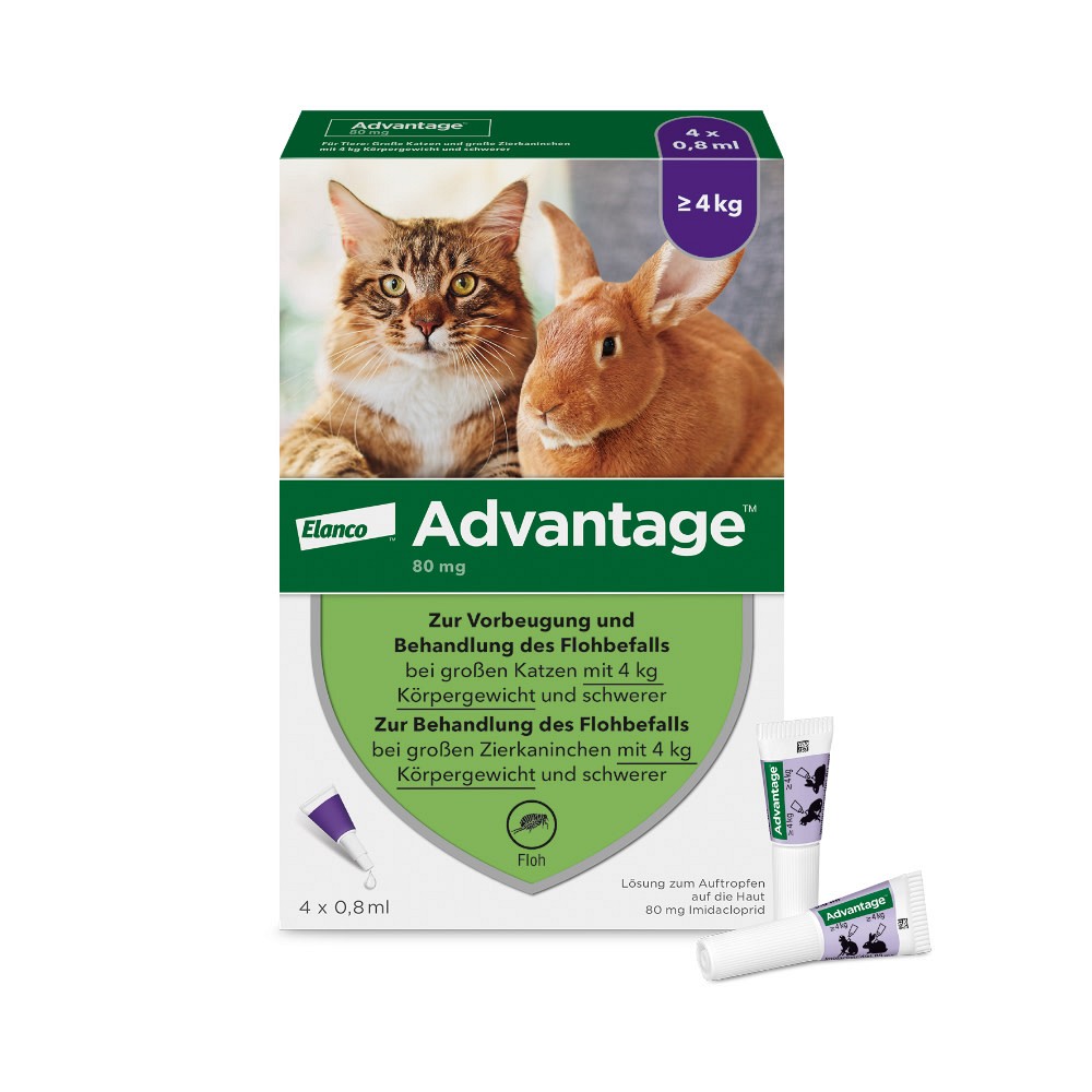 ADVANTAGE 80 mg f.gr.Katzen u.gr.Zierkaninchen