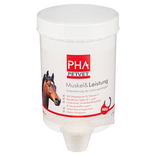 PHA Muskel & Leistung Pulver f.Pferde - 850g - Sport, Leistung & Regeneration