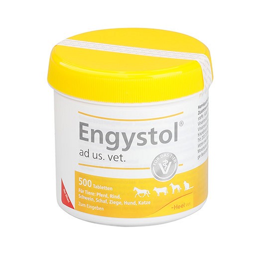 ENGYSTOL ad us.vet.Tabletten