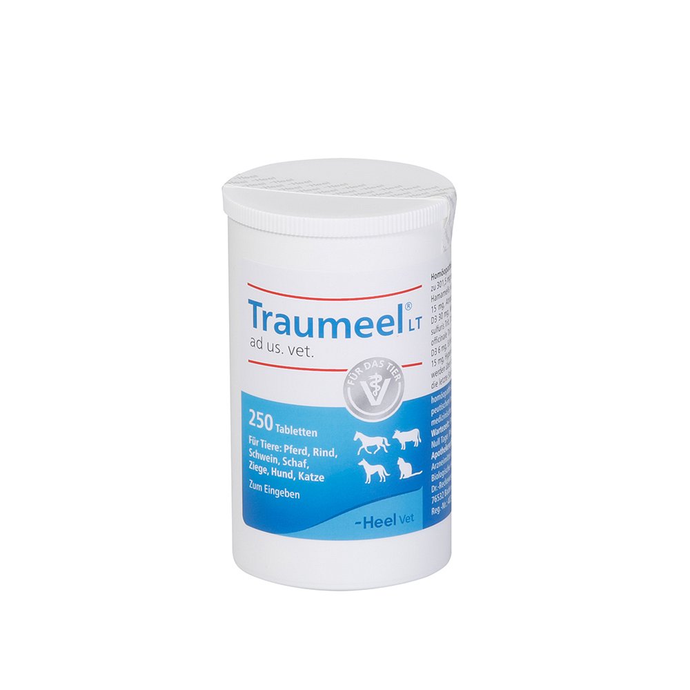 TRAUMEEL LT ad us.vet.Tabletten