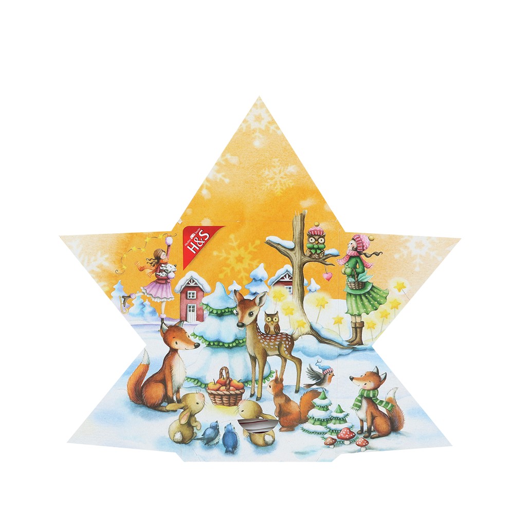 H&S Adventskalender Stern Filterbeutel