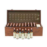 BACHBLÜTEN 20 ml Set Tropfen