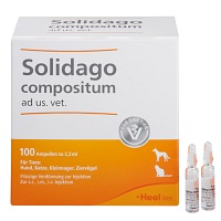 SOLIDAGO COMPOSITUM ad us.vet.Ampullen