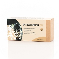 SPITZWEGERICH TEE Filterbeutel
