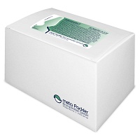 METABIAREX S Injektionslösung - 50X2ml - Entgiften-Entschlacken-Entsäuern