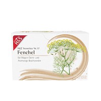 H&S Fencheltee ungemischt Filterbeutel