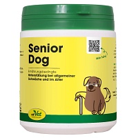 SENIOR Dog