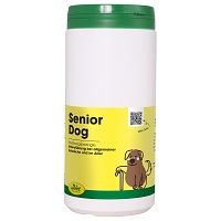 SENIOR Dog