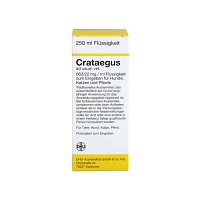 CRATAEGUS Dilution vet.