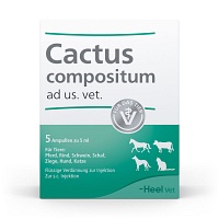 CACTUS COMPOSITUM ad us.vet.Ampullen