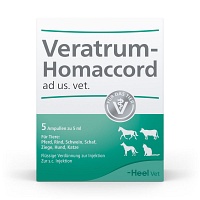 VERATRUM HOMACCORD ad us.vet.Ampullen