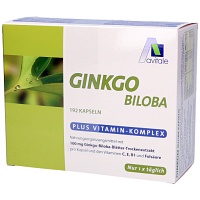 GINKGO 100 mg Kapseln+B1+C+E