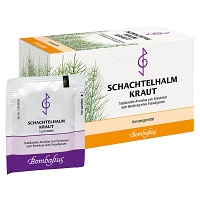 SCHACHTELHALMKRAUT Tee Filterbeutel