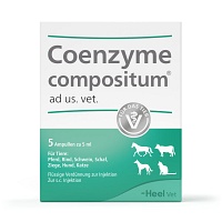 COENZYME COMPOSITUM ad us.vet.Ampullen