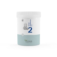 BIOCHEMIE Pflüger 2 Calcium phosphoricum D 6 Tabl.