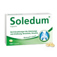 SOLEDUM 100 mg magensaftresistente Kapseln