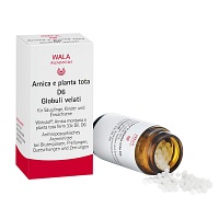 ARNICA E Planta tota D 6 Globuli