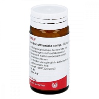 BERBERIS/PROSTATA comp.Globuli