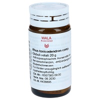 RHUS TOXICODENDRON COMP Globuli