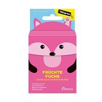 SIDROGA TEExpress Früchte Fuchs