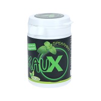 KAUX Zahnpflegekaugummi Spearmint mit Xylitol