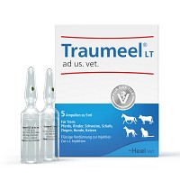 TRAUMEEL LT ad us.vet.Ampullen