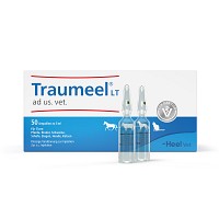 TRAUMEEL LT ad us.vet.Ampullen