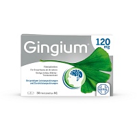 GINGIUM 120 mg Filmtabletten